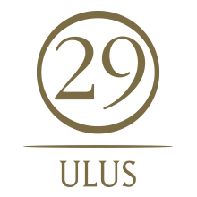 ULUS 29